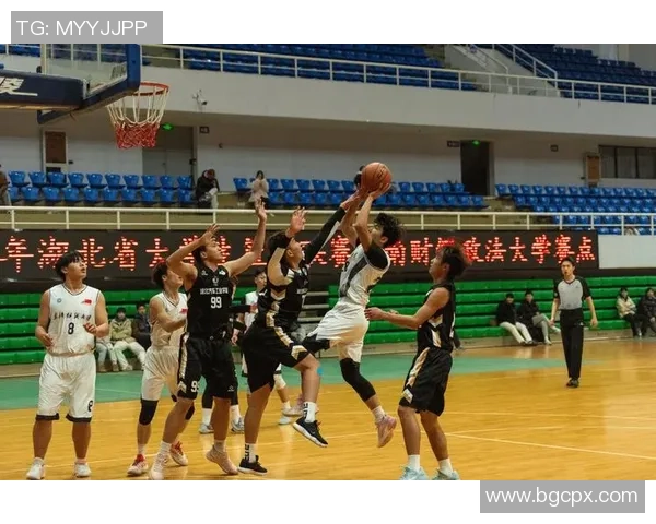 武汉篮球队在精英赛中的表现分析与状态评估