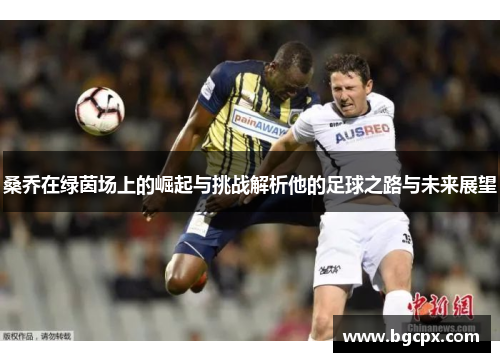 桑乔在绿茵场上的崛起与挑战解析他的足球之路与未来展望