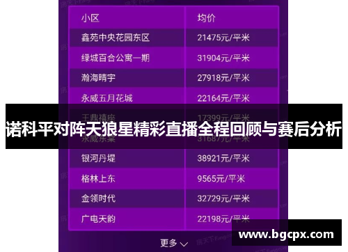 诺科平对阵天狼星精彩直播全程回顾与赛后分析